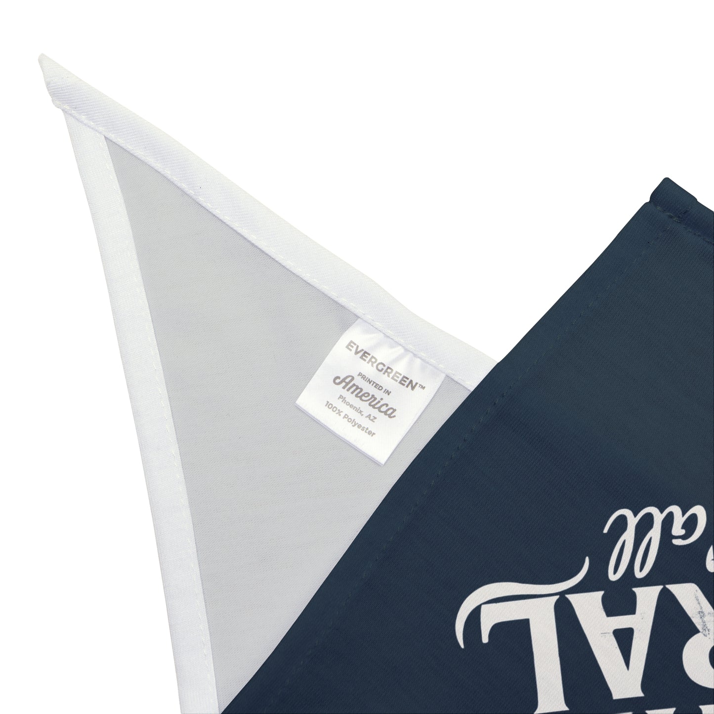 Feral State of Mind Pet Bandana - Slate