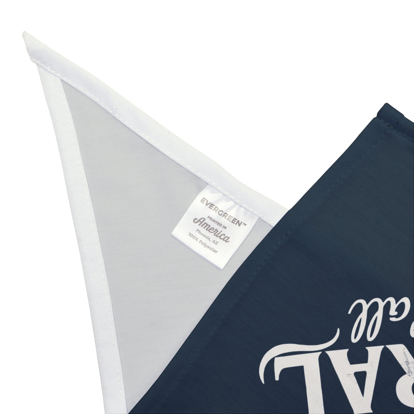 Feral State of Mind Pet Bandana - Slate